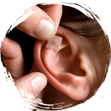 AURICULO-FOTO2